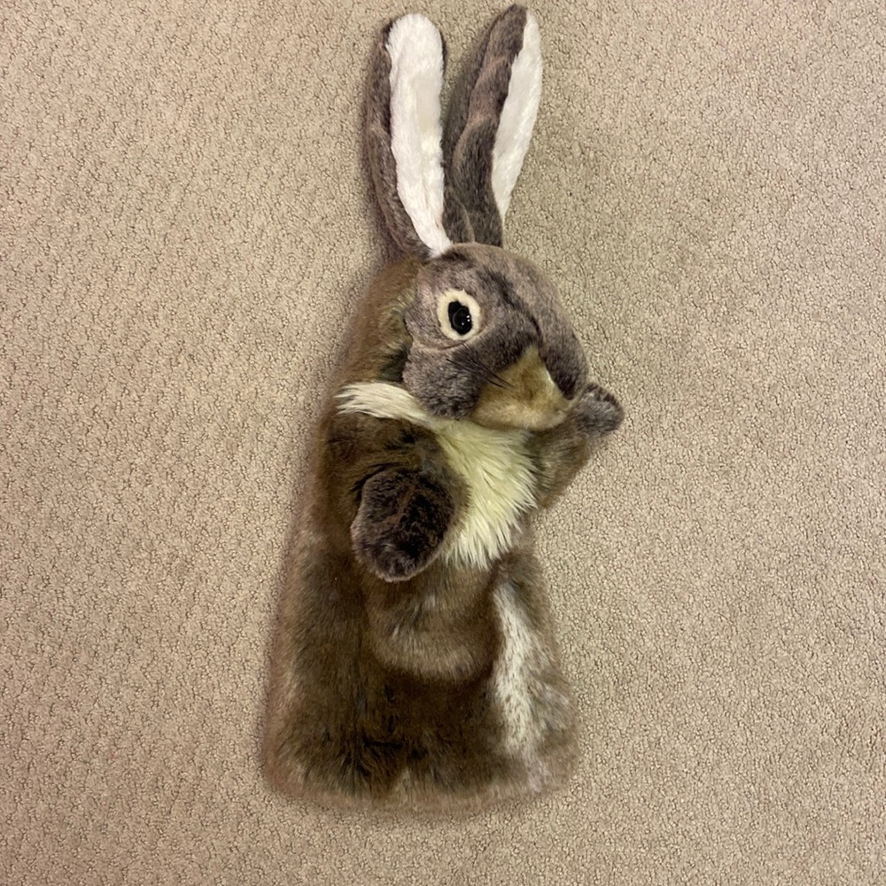 Toy